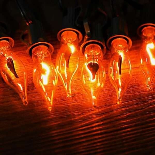 12.8Ft Halloween Flickering Flame String Lights