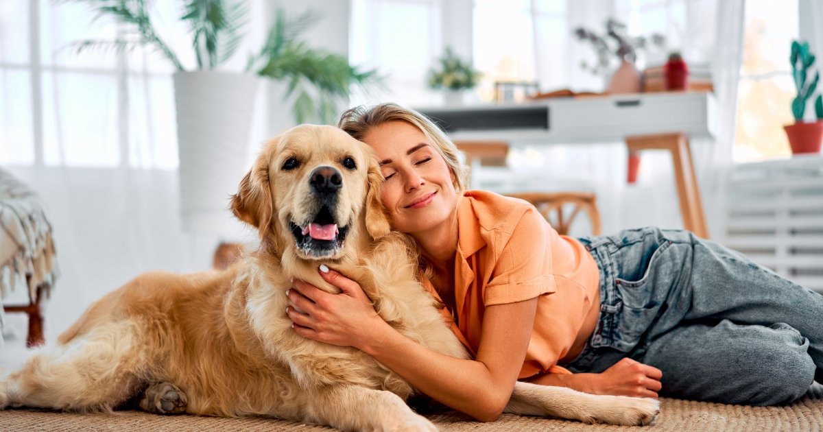 Healthy Coat, Healthy Pet: Tips to Groom and Nourish Your Pet’s Coat